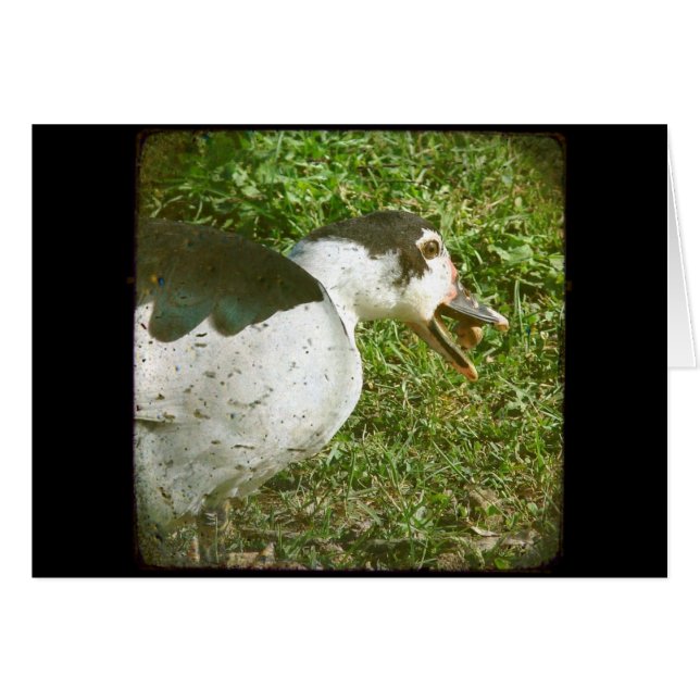 Spice Eats an Acorn (Front Horizontal)