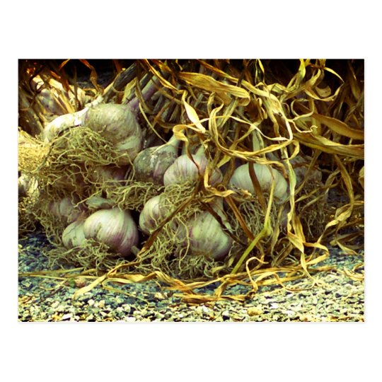 Spice it postcard