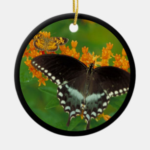 Spicebush Swallowtail Butterfly Ceramic Tree Decoration