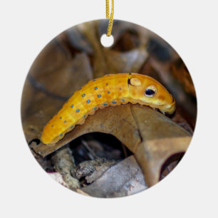 Spicebush Swallowtail Caterpillar Ornament