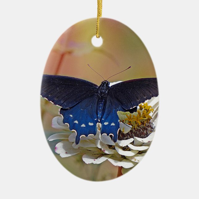 Spicebush Swallowtail Ceramic Tree Decoration (Front)
