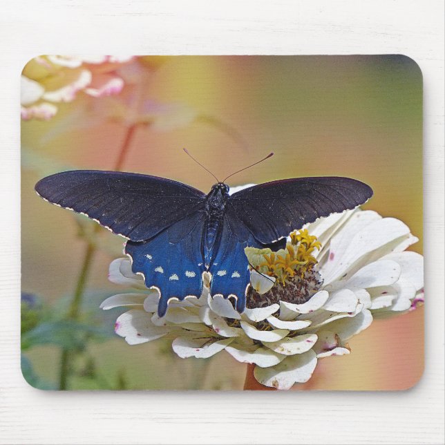 Spicebush Swallowtail Mouse Mat (Front)