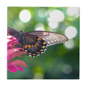 Spicebush Swallowtail Tile