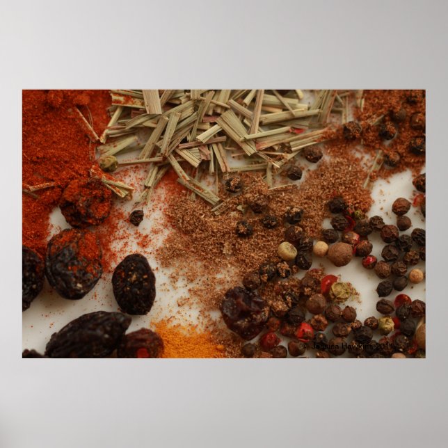Spices and Condiments Poster (Front)