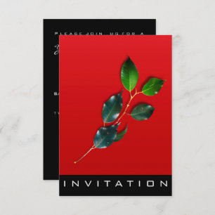 Spices Italian Chef Dinner House Red Wine Green Invitation