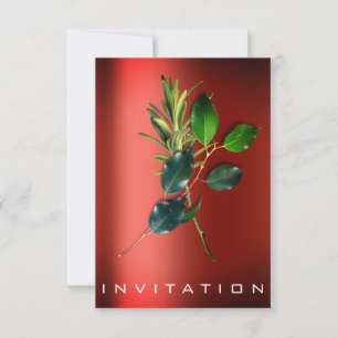 Spices Italian Chef Dinner Sustainability ReD Invitation