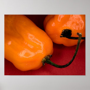 Spicy habanero peppers poster