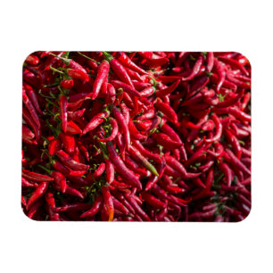 Spicy Red Chilli In The Town Of Kalocsa Magnet