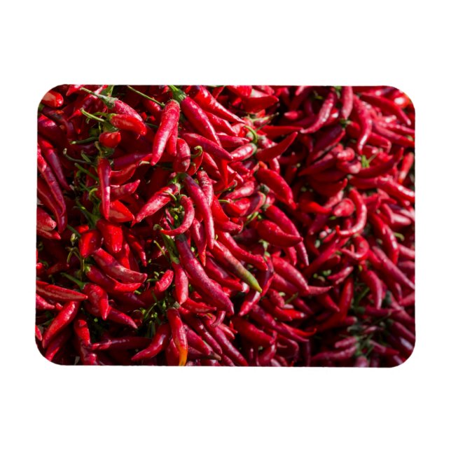Spicy Red Chilli In The Town Of Kalocsa Magnet (Horizontal)