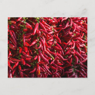 Spicy Red Chilli In The Town Of Kalocsa Postcard