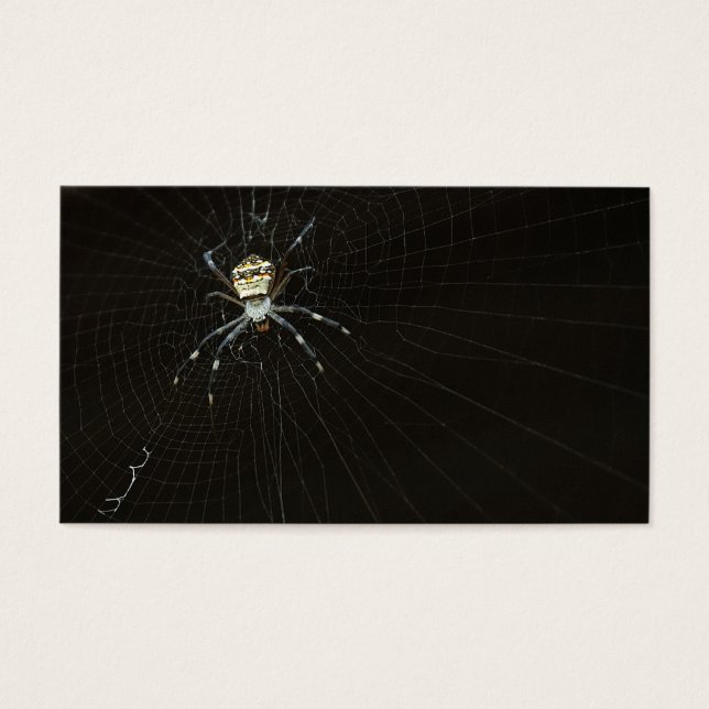Spider (Front)