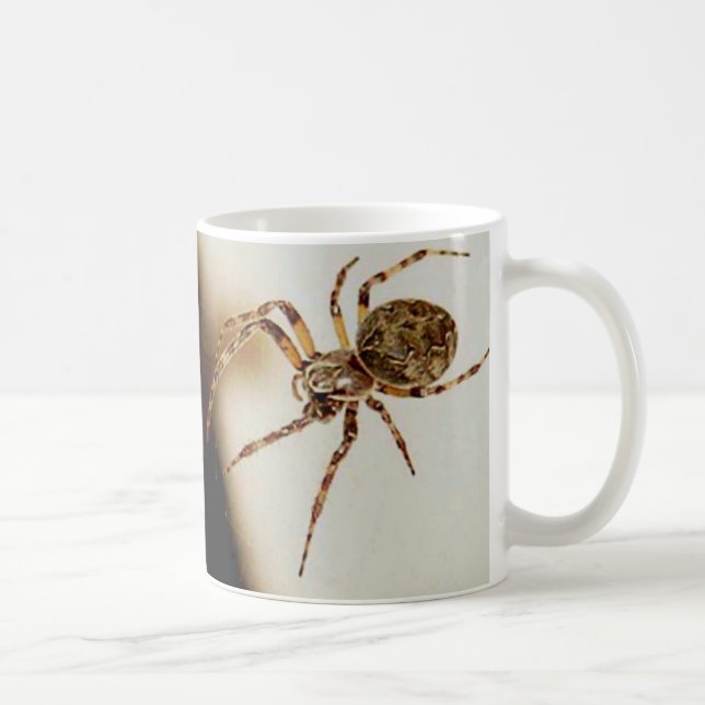 Spider 01 coffee mug (Right)