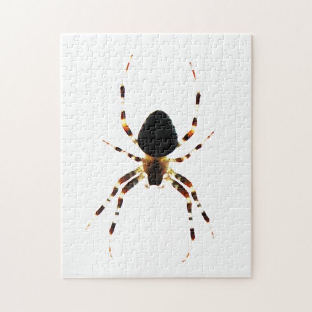 Spider 11x14 252pc jpcnm jigsaw puzzle (Vertical)