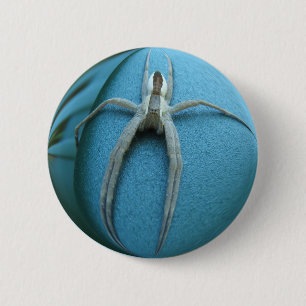 Spider 164 ~ button