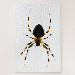Spider 20x30 1014pc jpm jigsaw puzzle
