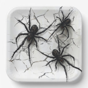 Spider 4-6 Series Cardboard Plates