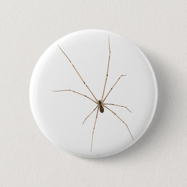 Spider 6 Cm Round Badge (Front)