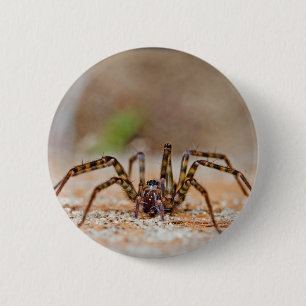 spider a 6 cm round badge
