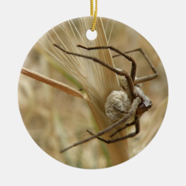 Spider and Egg Sac Custom Birthday Ceramic Tree Decoration (Front)