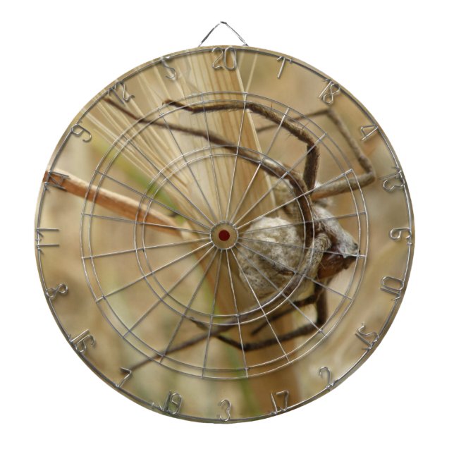 Spider and Egg Sac Dart Board (Front)