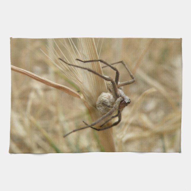 Spider and Egg Sac Kitchen Towel (Horizontal)