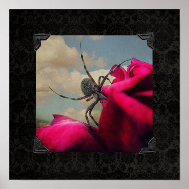 Spider and Red Rose Halloween Poster (Front)