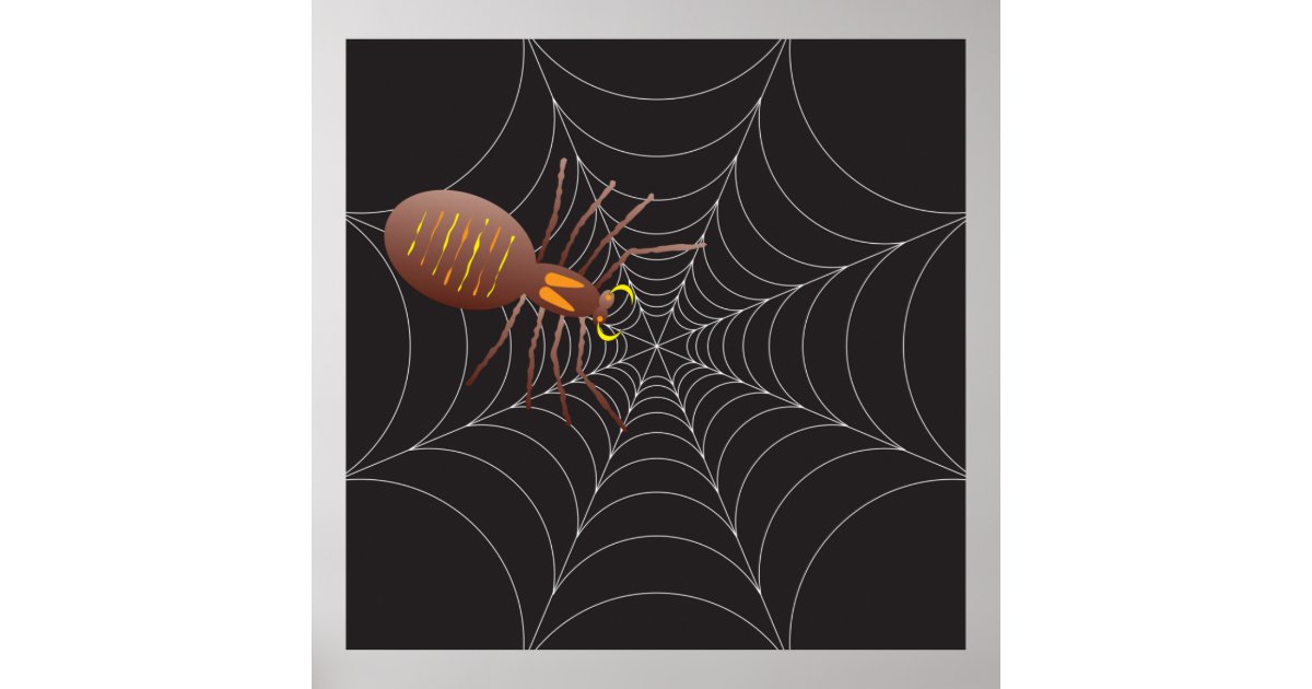 Spider And Spider Web Poster | Zazzle