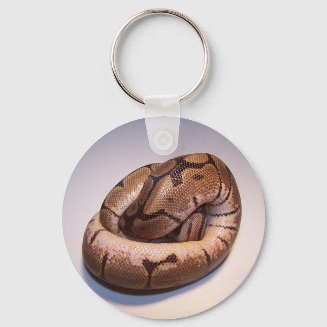 Spider Ball Python Keychain (Front)