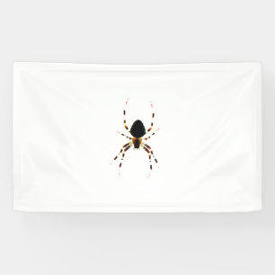 Spider bnrcn banner