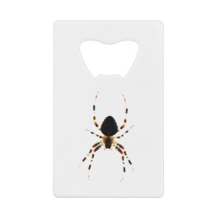Spider bocn credit card bottle opener