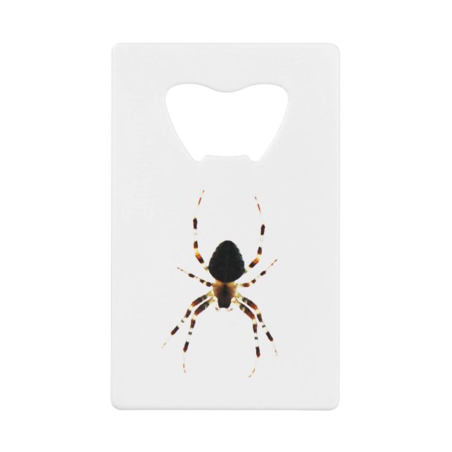 Spider bocnm (Front)