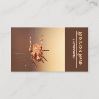 Spider Business Card