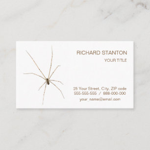 Spider Business Card