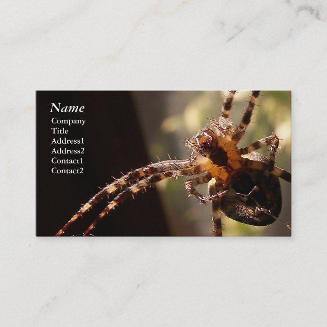 Spider - Business Cards (Front)