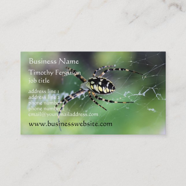 Spider Business Cards (Front)
