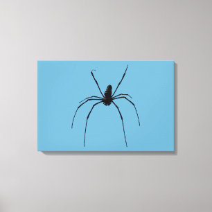 Spider Canvas Print