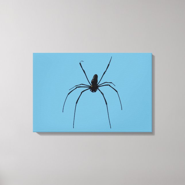 Spider Canvas Print (Front)