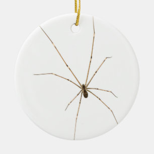 Spider Ceramic Tree Decoration