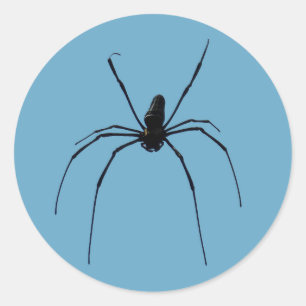 Spider Classic Round Sticker, Glossy Classic Round Sticker