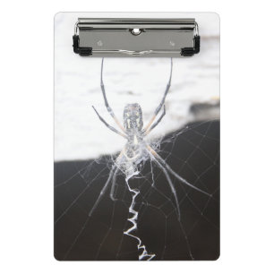 Spider Clip Board