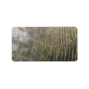 Spider Cobweb Label