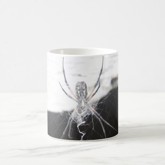 Spider Coffee Mug (Center)