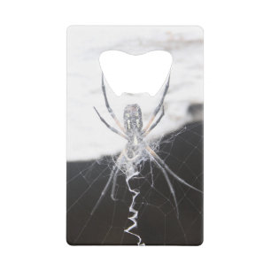 Spider Credit Card Bottle Opener