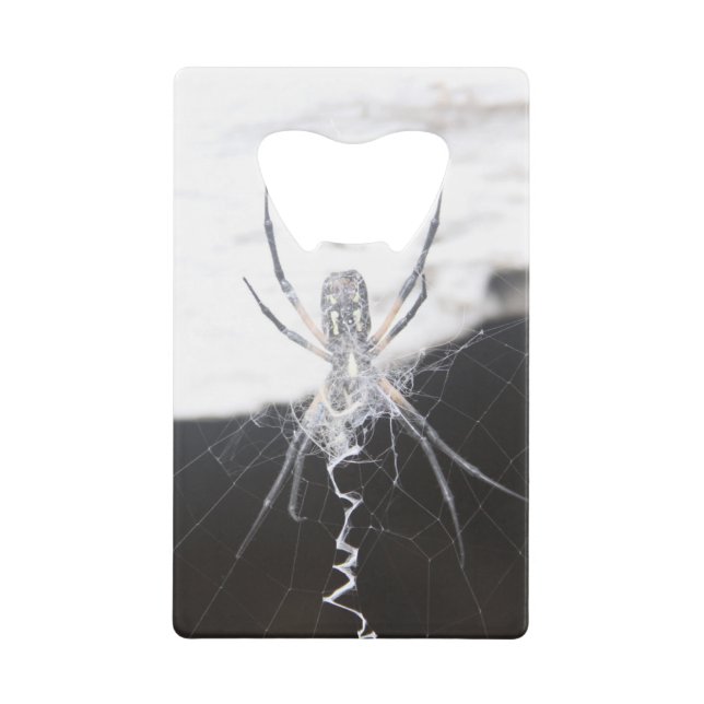 Spider Credit Card Bottle Opener (Front)