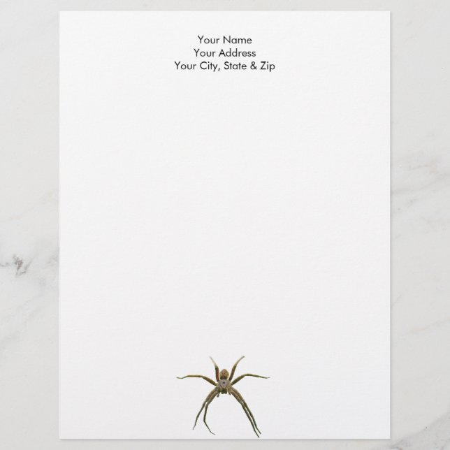 Spider Custom Letterhead (Front)