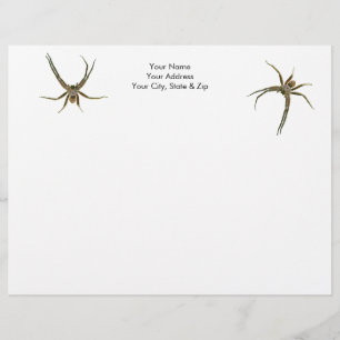 Spider Custom Letterhead