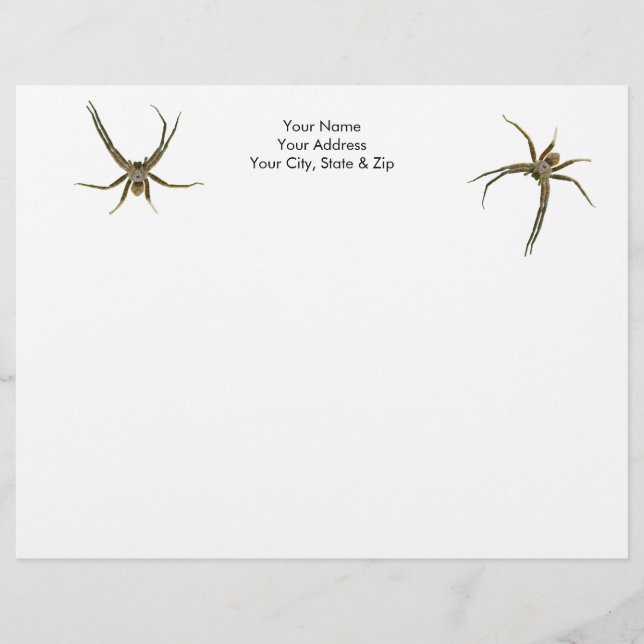 Spider Custom Letterhead (Front)
