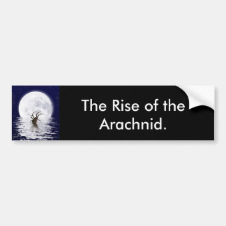 Spider Design Gifts Bumper Sticker