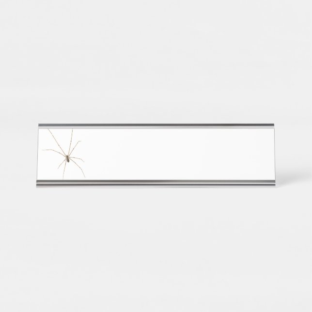 Spider Desk Name Plate (Front)