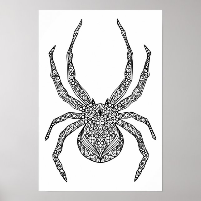 Spider Doodle 2 Poster (Front)